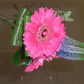 fwthumbgerbera bh.jpg